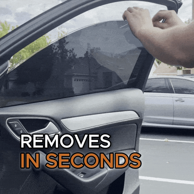 Vanta Removable Tints Kit