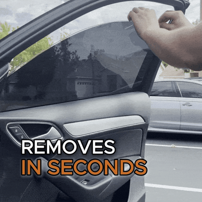 Vanta Removable Tints Kit